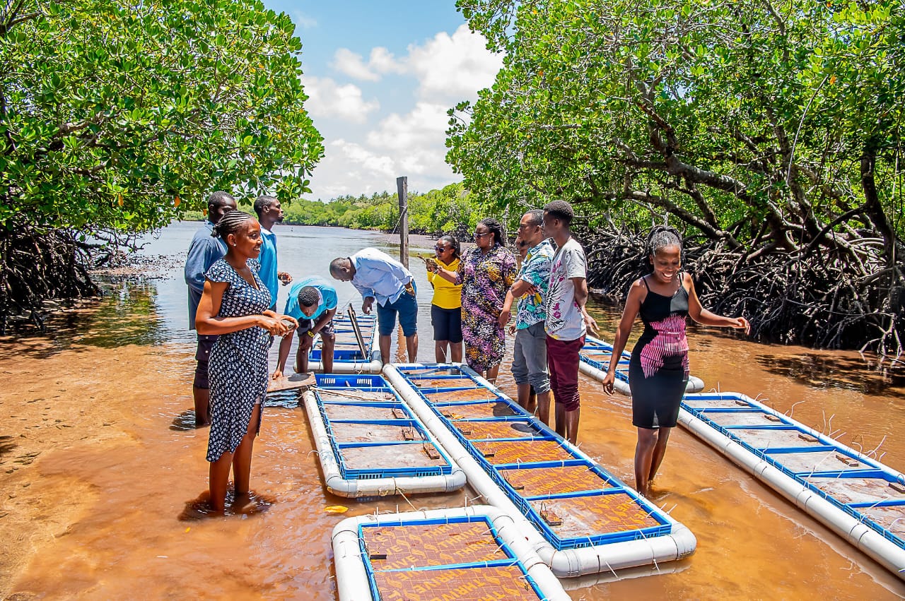 Crab tour with Farm Africa