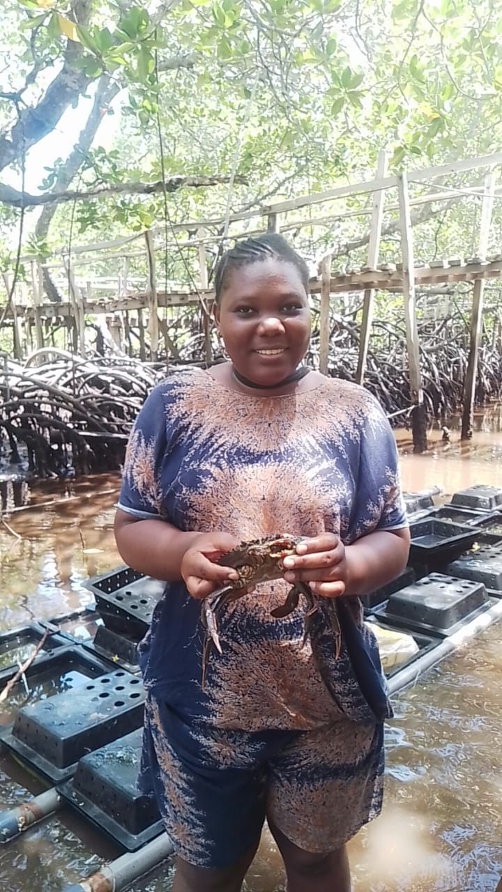 CRAB FEEDING EXPERIENCE